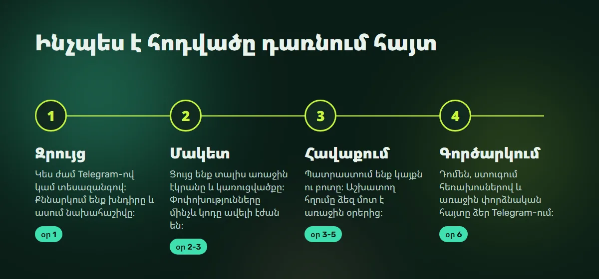 Աշխատանքի փուլեր․ զրույց, մակետ, հավաքում, գործարկում