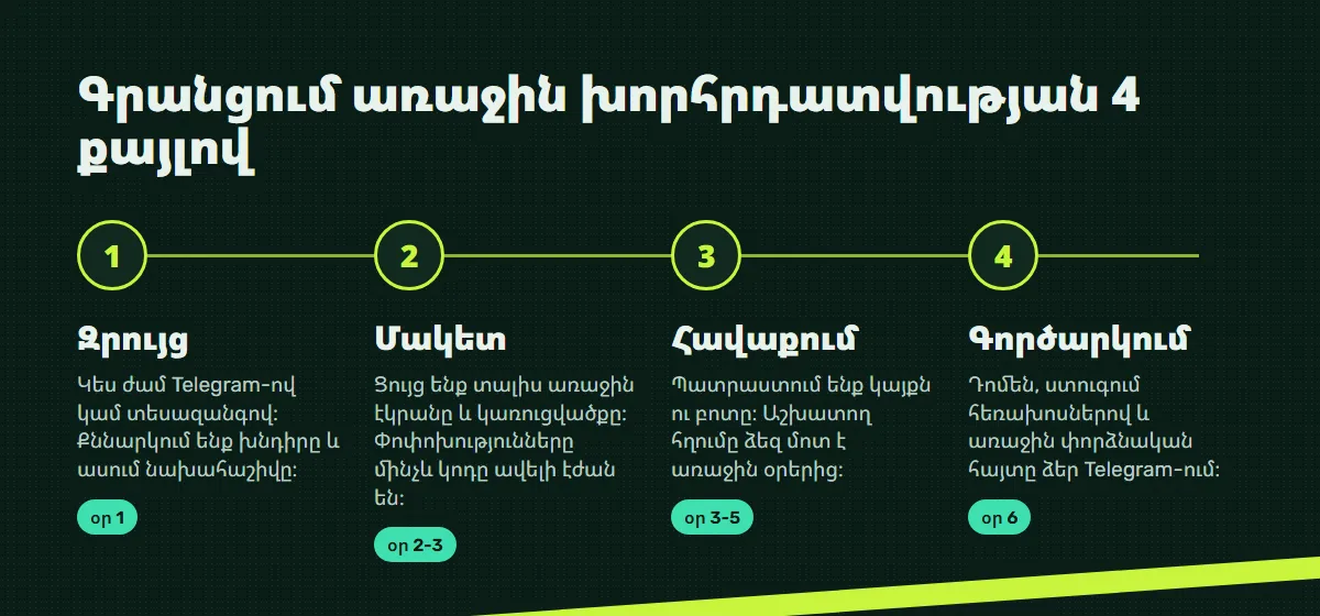 Աշխատանքի փուլեր․ զրույց, մակետ, հավաքում, գործարկում