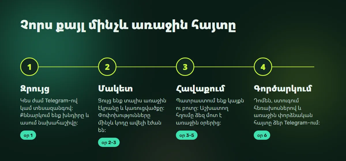 Աշխատանքի փուլեր․ զրույց, մակետ, հավաքում, գործարկում